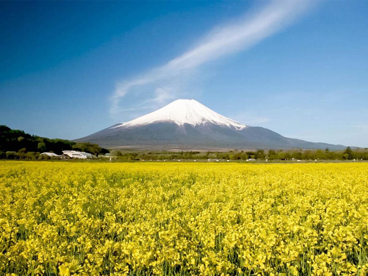Yamanakako Pension Pause Bagian luar foto